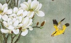 2022年6月生属鼠的人到底哪方面运势最旺盛？事业？爱情？还是两者兼备？