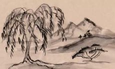 2022年属狗人需注意的忌讳事项及其可能带来的倒霉后果