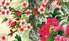 2022年属猪的83年出生的女性运势预测：未来一年的趋势与展望