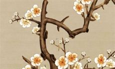 鸡年生属龙的2022年运势:探寻未来之路,获取稳定繁荣?