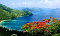 做梦被猫咬手指不松口，预示着什么？猫咬梦境的暗示与意义解析