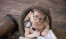 在睡眠中见到两只白鹇交配的非常逼真的梦境