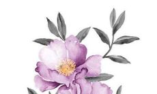 2022年，身居78属马星座的人在事业、爱情、健康方面的运势及运程展望！