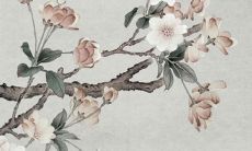 30岁的属猴人在92年出生，将会遭受怎样的劫难？