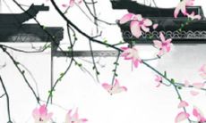 属虎的人起名需要避免哪些忌讳？