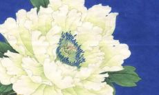 免费打分女宝宝名字服务，助你挑选最佳命名方案！