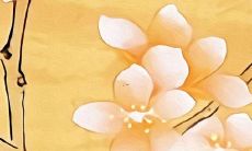 2022年属羊女职业事业发展与运势展望