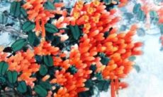 和女性属羊人的全年运势预测，包括财运、事业、健康和感情生活等方面