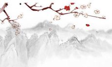 2022年的时候，今年几岁的属虎有多少岁呢？