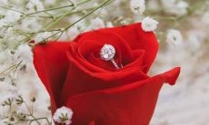 哪一星座的男性是天生调皮的主角?