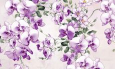 如何给粉丝设置一个好听的名字来获得勋章？