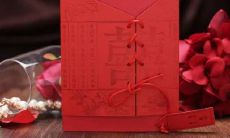 哪个星座在沟通时表现最为专注和认真？