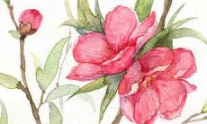 黄姓男孩在2022年属虎的情况下选择取名，探讨如何根据属相来取名的相关信息