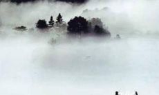 年出生狗子：详尽解析2022年财运、感情、事业、健康、人际关系、家庭生活等方面的运程及建议