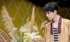 探讨猪和虎的合拍指数：从财运到婚姻，猪和虎的配对如何影响彼此的命运？