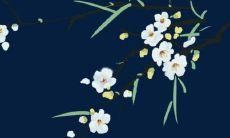 为什么在龙年不宜生育？五大属相应避开生育的原因与影响分析