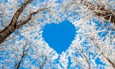 悬针纹男人：遭遇最终下场的生命故事，究竟悬针纹真的可怕吗？