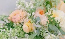 狮子座和哪些星座适合搭配相处？