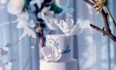 如何查询自己狮子座上升星座,使您更全面地了解自己的天才?