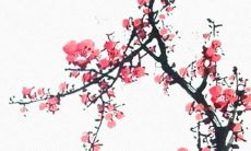 极致努力亦难及的自带天赋——揭秘无法超越的星座特质