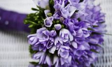 对伴侣要求苛刻的星座女子：她们的爱情观与需求分析