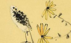 探究姓苏男孩子如何取一个充满音乐美感的优美而好听的名字？