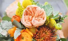 惊人表现！这些星座男子只需微微夸奖，便能使自己的尾巴翘得高高在上！