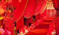 的混合型人格：探索L相星座与白羊上升共同影响下的性格特征和行为表现