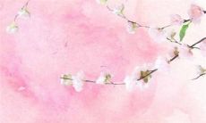 2022年度庚金日主男性运势展望：事业稳步上升，财运可期，感情需注重沟通和信任！