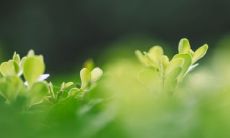 男生四字网名-有寓意且干净的选择，女生可以选择唯美简单的四字网名