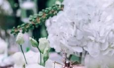 天蝎座如何行动,以建立信任并化解信任危机?