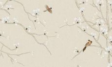 兔年太岁会犯哪些生肖属相？