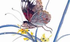 2022年属蛇人应避开的方位——详解属蛇人在2022年的风水忌讳