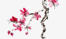 以姓“何”为姓氏的女孩名字，可能获得最高100分的评分