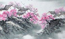 揭秘：拥有捶背图的2022年猪年运势如何？