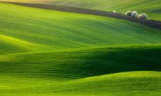 属蛇和属马的缘分如何？他们适合成为一对儿女亲家吗？是否能够在未来的岁月中像过去一样亲密无间并相互扶持呢？