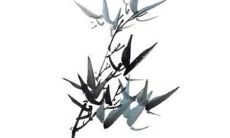 2022年，即将进入黑蛇岁次的49年生肖蛇的运势如何？