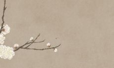 2022年属鸡、蛇、人的幸运走势：全面剖析虎年吉凶大势！