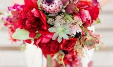 的行为排名：哪些星座最容易做出残忍无情的行为？