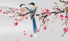 严格遵循的指南:属虎人在2022年,必须遵守的注意事项和必须遵循的几点建议