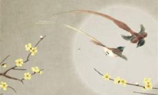 ，温柔的12星座——如何了解你的星座特质，发掘内在温柔力量？