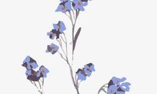 探索三个打动心灵的口感诱人的糕点名称