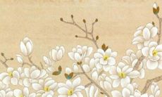 精选出的富有创意、独具特色、令人耳目一新的优美KTV命名建议