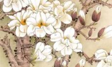 在2021年的流年中,属鼠的人运程如何?吉星庇护,未来将有惊喜与好运相伴!