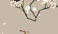 57年出生属鸡的女性，探究2022年的运势和展望