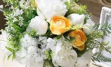 探究世界上最具攻击性的星座：哪个星座的人最容易发脾气？