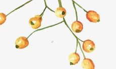 震撼人心的古代皇后美名，令人陶醉的历史传奇女子称谓