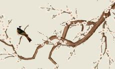 1964年属龙的女性58岁生肖龙，2022年每月详尽运势解析！