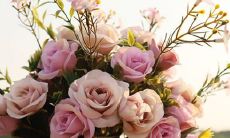 尽管面临重重困难，这些星座绝不妥协，坚持不懈地追求自己的目标