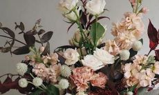 关于不同星座狗狗的性格特征分析：探究它们的行为、喜好以及训练方法